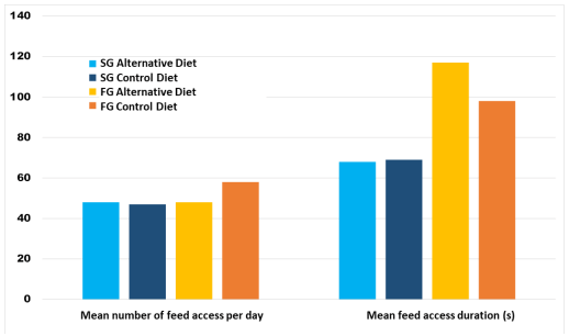 Figure 5. Feed access number and duration for animals from two genotypes and receiving two different diets.