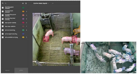 The annotations were created with Labelbox which is a customizable collaborative online tool. Labelbox is free for academic research. The image material was extracted from 400 hours of video.