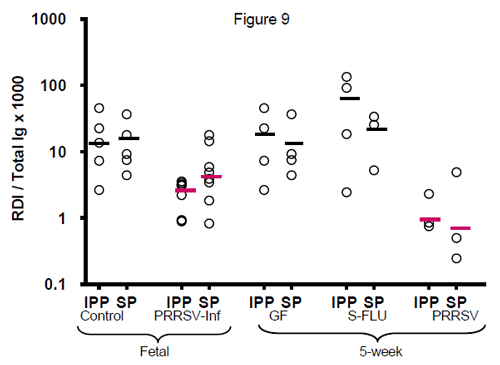 Figure 9. Antibody repertoire development after 35 days in fetal and isolator piglets infected with PRRSV and control piglets. Note that the RDI is a log scale so that the mean RDI for PRRSV-infected fetuses is > 2-fold lower than controls. Similarly, in 35-day old isolator piglets, the RDI is nearly 10-fold lower than in colonized piglets. This is nearly 100-fold lower than colonized piglets infected with swine influenza (S-FLU). SP= spleen and represents the systemic immune system while IPP= ileal Peyer patches, and reflects the mucosal GIT response. In all cases, repertoire development in suppressed in both fetal and isolator piglets infected with VR 2332. From Sun et al., 2012.