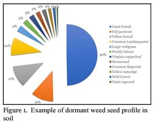 Does Poultry Litter Contain Weed Seeds? - Image 2