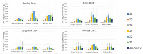 Figure 1 – XOS measured in ileum digesta (D35) from broilers fed commercial-type barley, corn, sorghum, or wheat-based diets supplemented with either single xylanase (16,000 BXU/kg), double xylanase (32,000 BXU/kg) or single xylanase and NSPases mix.