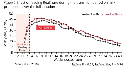 BOOST DAIRY PERFORMANCE WITH RUMEN-PROTECTED CHOLINE - Image 1