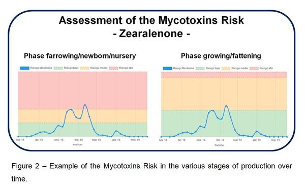Mycotoxins Risk as a Management Tool in Swine Industry - Image 2