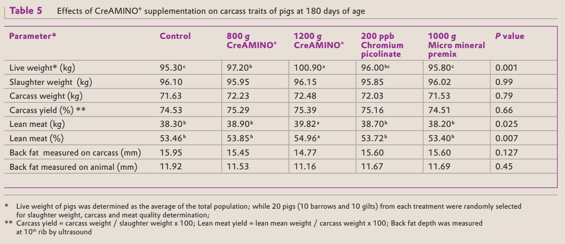 CreAMINO® supplementation improves growth performance and lean meat yield of pigs - Image 5