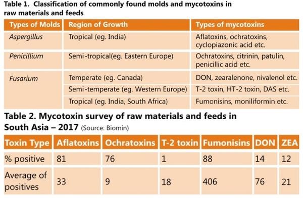 How many mycotoxins should be analyzed in Indian Poultry Feeds and Raw Materials? - Image 4