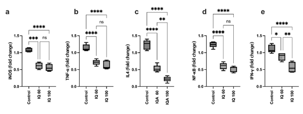 Figure 2 - The gene expression of iNOS, TNF-α, IL-4, IFN-γ, NF-κB, in the ileum of broilers under heat-stress conditions at 35 days of age; basal diet (control), isoquinoline alkaloids at 60 mg/kg (IQ 60), or 100 mg/kg diet (IQ 100). Different superscripts indicate significant differences; * (P < 0.05), ** (P < 0.01), ***(P < 0.001), ****(P < 0.0001).
