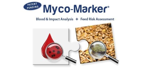 Emerging Mycotoxins: significantly present, highly toxic, and mostly undetected in vivo – until now - Image 2