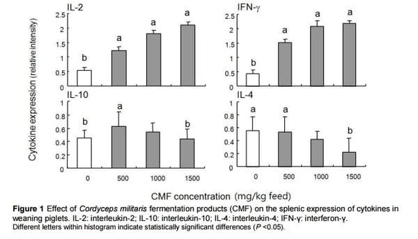 Fermentation products of Cordyceps militaris enhance performance and modulate immune response of weaned piglets - Image 4