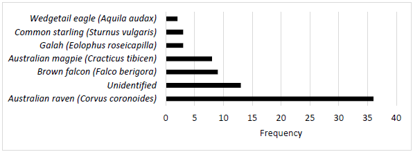 Figure 2 - The frequency of wild bird species on a free-range layer farm in southern Australia over a 10 week period from 2 August 2019 to 9 October 2019, while pop holes were open.