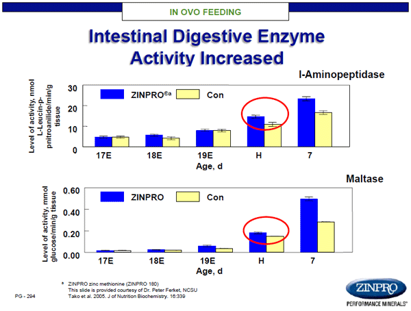 Figure 5. Impact of in ovo feeding with ZINPRO® zinc methionine on intestinal digestive integrity of chicks.