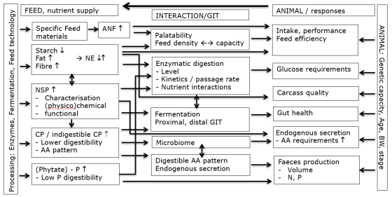 Figure 1. Schematic representation of characteristics of diets based on circular feed ingredients (mainly co-product and former foods) in a more circular food production system, interactions in the digestive tract and influence on animal performance and health. Abbreviations: ANFs = antinutritional factors; NE = net energy; NSPs = non-starch polysaccharides; AAs = amino acids, GIT = gastro-intestinal tract. (Reproduced from: Bikker and Jansman, 2023).