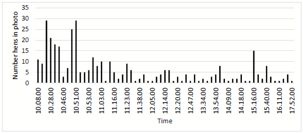 Figure 1 - The number of hens in the photo frame and the time of day hens were on the outer range (50 m < from the shed) on a free-range layer farm in southern Australia during 2 August 2019 to 9 October 2019, while pop holes open.