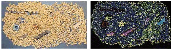 Figure 1 - Identification of impurities and moist/mouldy grains in wheat using hyperspectral imaging