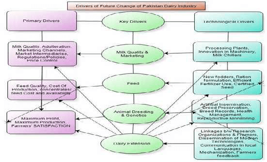 The Role of Extension in Changing the Dairy Industry in Pakistan: A Review - Image 1