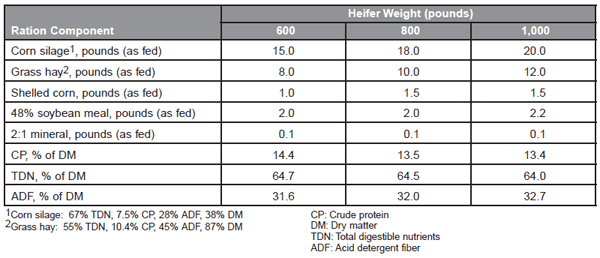 Management and Economic Considerations in Dairy Heifer Development - Image 5