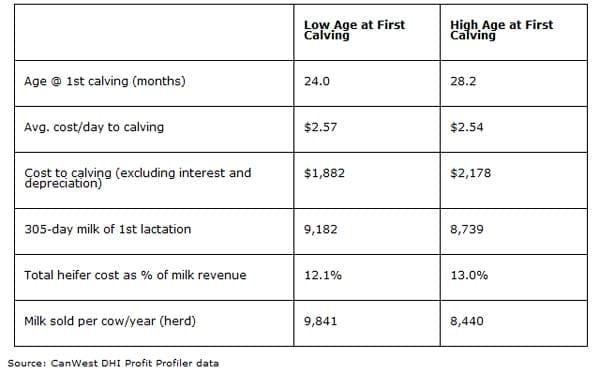 The Cost of Raising Replacement Dairy Heifers - Image 2