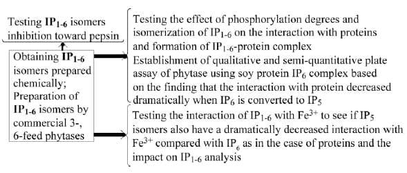 Interactions of phytate and myo-inositol phosphate esters (IP1-5) including IP5 isomers with dietary protein and iron and inhibition of pepsin - Image 2