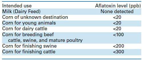 Aflatoxins in Corn - Image 2