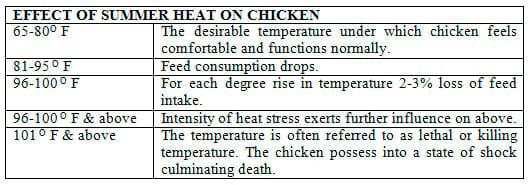 Management of Poultry in extreme Weather - Image 1