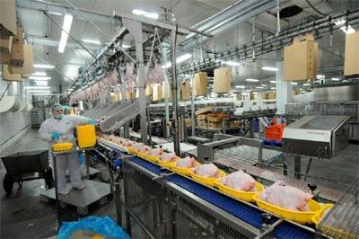 The structure of the Russian Poultry Meat Production - Image 1
