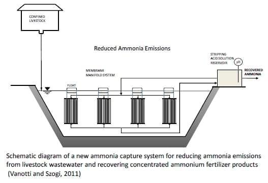 Development of Clean Technologies for Management of Wastes from Pig Production and their Environmental Benefits - Image 11