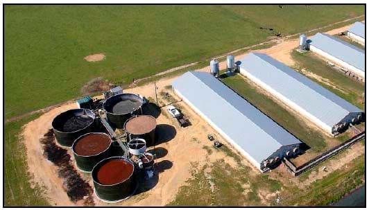 Development of Clean Technologies for Management of Wastes from Pig Production and their Environmental Benefits - Image 4