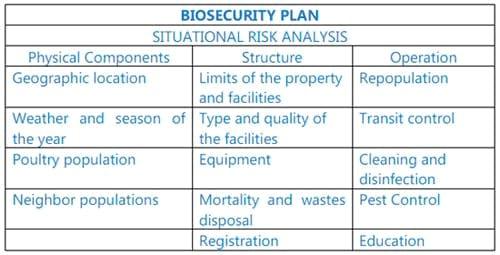 Biosecurity in Avian Influenza Control - Image 1