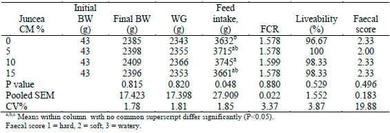 The Use of High Efficiency Juncea Canola Meal and Full Fat Juncea Canola Meal in Broiler Feeding - Image 3