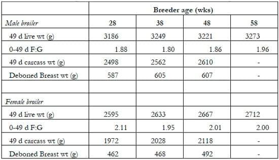 Broiler Breeder Nutrition- Optimizing efficiency and broiler performance - Image 1