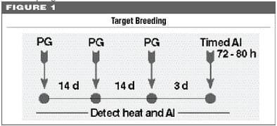 Strategies for Heat Detection and Timing of Artificial Insemination - Image 1