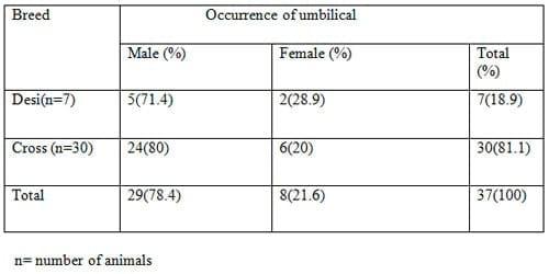 Prevalence of Common Surgical Affections in Calves and Goat at Jhenidah Sadar - Image 3