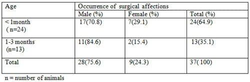 Prevalence of Common Surgical Affections in Calves and Goat at Jhenidah Sadar - Image 2