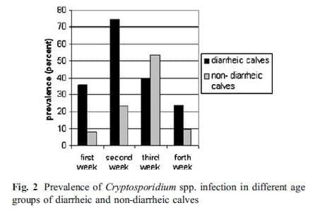 Prevalence of Cryptosporidium Spp. Infection in some Dairy Herds of Mashhad (Iran) and its Association with Diarrhea in Newborn Calves - Image 5