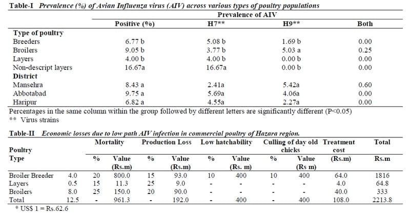 Prevalence of Avian Influenza and its Economic Impact on Poultry Population of Hazara Region Pakistan - Image 1