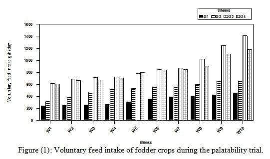 Some Nutritional Studies of Four Salt-Tolerant Fodder Crops Fed to Goats under Saline Conditions in Egypt - Image 5