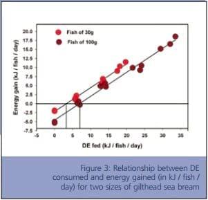 Bioenergetics - Application in Aquaculture Nutrition - Image 5