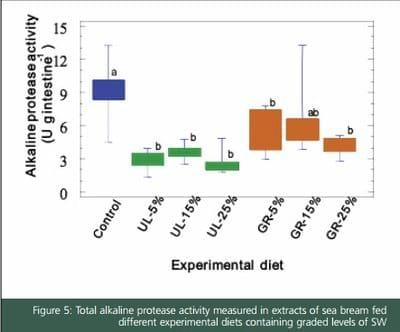 Effect of Dietary Inclusion of Seaweeds on Intestinal Proteolytic Activity of Juvenile Sea Bream, Sparus Aurata - Image 5