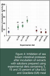 Effect of Dietary Inclusion of Seaweeds on Intestinal Proteolytic Activity of Juvenile Sea Bream, Sparus Aurata - Image 4