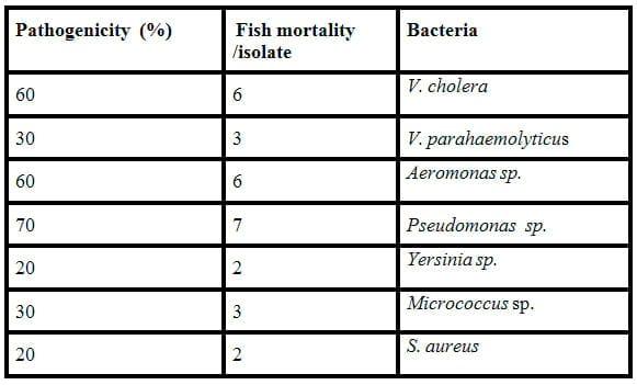 Bacteriological Status of Ashtoum El-Gamil Protected Area - Image 13