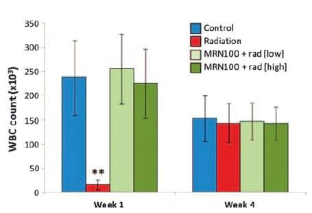 Protective effect of hydroferrate fluid, MRN-100, against lethality and hematopoietic tissue damage in y-radiated Nile tilapia, Oreochromis niloticus - Image 2