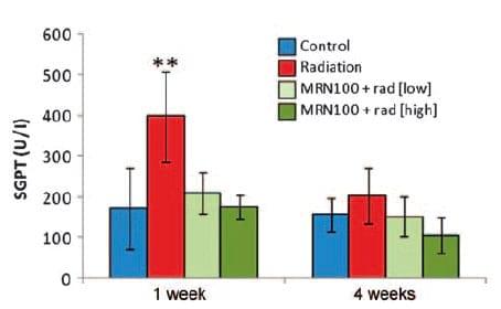 Protective effect of hydroferrate fluid, MRN-100, against lethality and hematopoietic tissue damage in y-radiated Nile tilapia, Oreochromis niloticus - Image 5