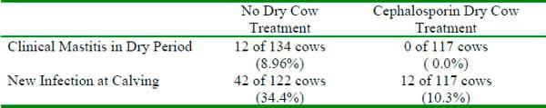 Managing the Dry Period for Milk Quality - Image 5