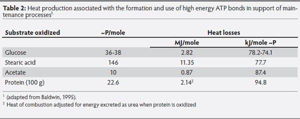 The metabolic basis of feed-energy efficiency in swine - Image 2