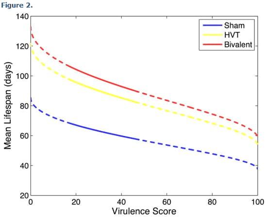 Modelling Marek's Disease Virus (MDV) infection: parameter estimates for mortality rate and infectiousness - Image 4
