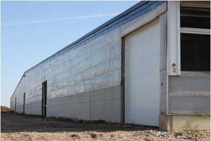 Cross-Ventilated Barns for Dairy Cows: New Building Design with Cow Comfort in Mind - Image 12