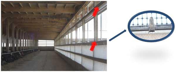 Cross-Ventilated Barns for Dairy Cows: New Building Design with Cow Comfort in Mind - Image 11
