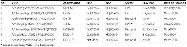 Surveillance on A/H5N1 Virus in Domestic Poultry and Wild Birds in Egypt - Image 6