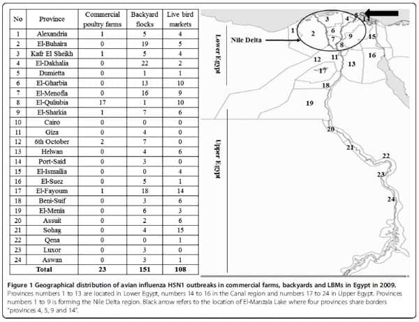 Surveillance on A/H5N1 Virus in Domestic Poultry and Wild Birds in Egypt - Image 1