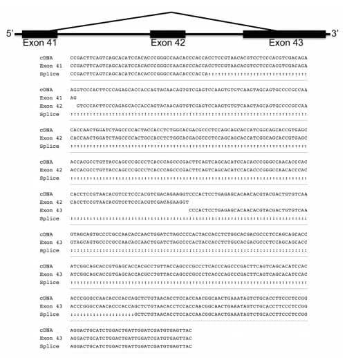 Cloning, Annotation and Developmental Expression of the Chicken Intestinal MUC2 Gene - Image 12