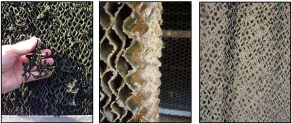 How Much Do Evaporative Cooling Pads Reduce Air Speed? - Image 4